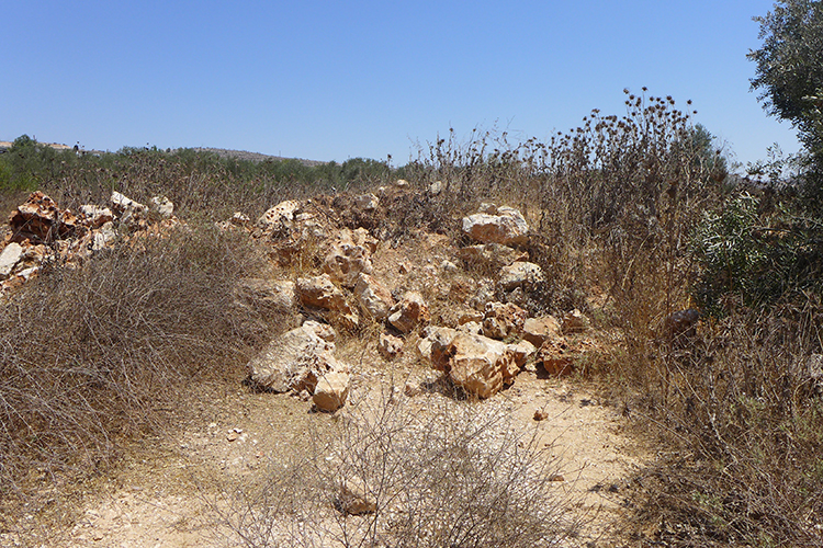 The roadblock, August 2024